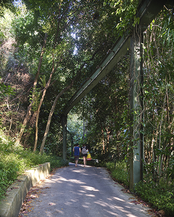 Former Sentosa Monorail